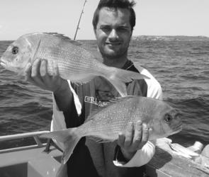 There have been some nice snapper on some of the gravel beds north of Botany Bay. 